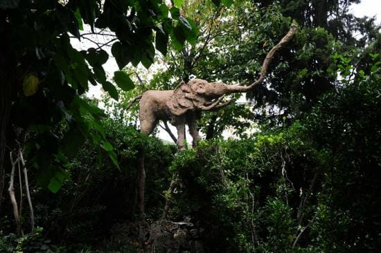 Дали и Гала – Короли сюрреализма 6